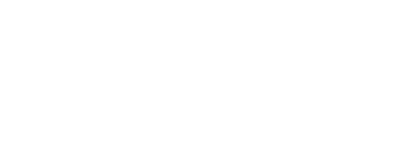 TheSecurityManagementSpecialist